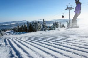 Contract snowboard.