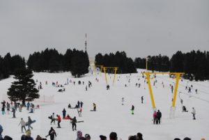 Deski snowboardowe APO. Deska dla początkujących i doświadczonych