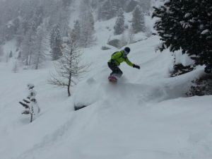 Arbor Element RX. Czym powinna cechować się deska idealna?